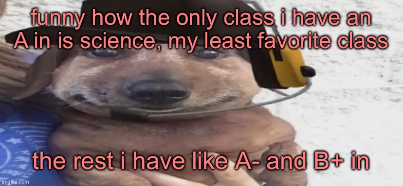 chucklenuts | funny how the only class i have an A in is science, my least favorite class; the rest i have like A- and B+ in | image tagged in chucklenuts | made w/ Imgflip meme maker