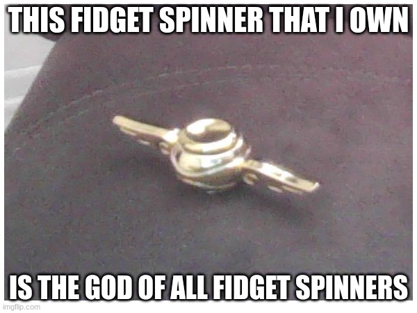And it kinda looks like The Snitch from Harry Potter | THIS FIDGET SPINNER THAT I OWN; IS THE GOD OF ALL FIDGET SPINNERS | image tagged in fidget spinners,harry potter | made w/ Imgflip meme maker