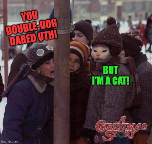 Couple-cat dare | YOU DOUBLE-DOG DARED UTH! BUT I'M A CAT! | image tagged in a christmas story,woman yelling at cat,tongue,stuck,christmas memes | made w/ Imgflip meme maker