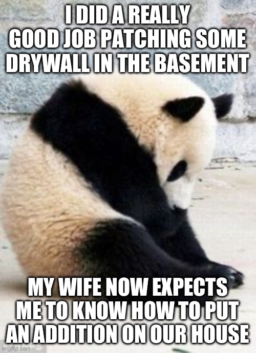 Why | I DID A REALLY GOOD JOB PATCHING SOME DRYWALL IN THE BASEMENT; MY WIFE NOW EXPECTS ME TO KNOW HOW TO PUT AN ADDITION ON OUR HOUSE | image tagged in sad panda | made w/ Imgflip meme maker