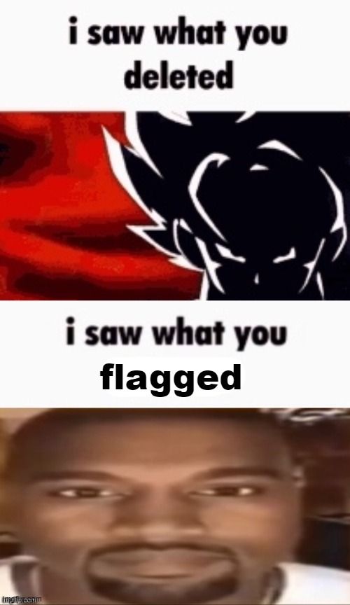 flagged | image tagged in i saw what you deleted | made w/ Imgflip meme maker