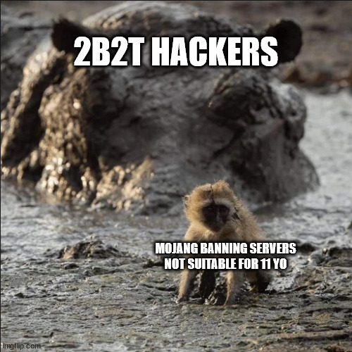 ik its not new but they still havnt really done anything | 2B2T HACKERS; MOJANG BANNING SERVERS NOT SUITABLE FOR 11 YO | image tagged in hippo staring at baby monkey,minecraft | made w/ Imgflip meme maker