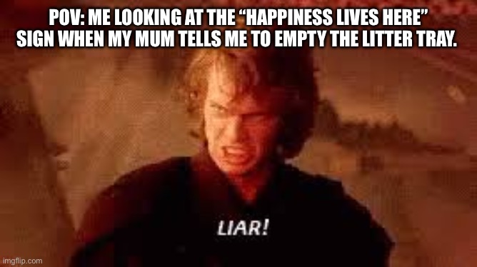 Anakin Liar | POV: ME LOOKING AT THE “HAPPINESS LIVES HERE” SIGN WHEN MY MUM TELLS ME TO EMPTY THE LITTER TRAY. | image tagged in anakin liar | made w/ Imgflip meme maker