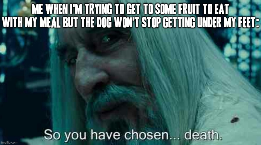 As a cat person I find this shit absolutely annoying and I think maybe I should just break all hell loose for real next time | ME WHEN I'M TRYING TO GET TO SOME FRUIT TO EAT WITH MY MEAL BUT THE DOG WON'T STOP GETTING UNDER MY FEET: | image tagged in so you have chosen death,memes,relatable,savage memes,shits gonna hit the fan so high it'll make your head spin,enough is enough | made w/ Imgflip meme maker