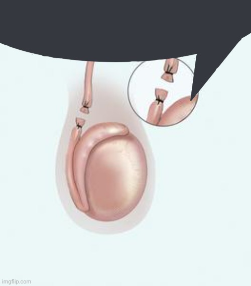 Pluh | image tagged in shitpost | made w/ Imgflip meme maker