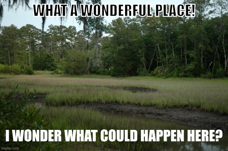 swamps | WHAT A WONDERFUL PLACE! I WONDER WHAT COULD HAPPEN HERE? | image tagged in swamps | made w/ Imgflip meme maker