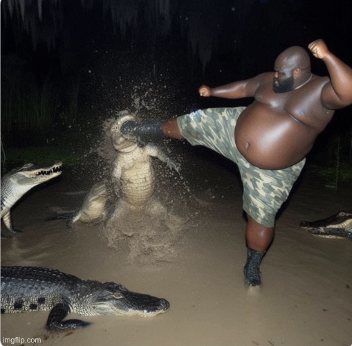 Man kicks alligator | image tagged in man kicks alligator | made w/ Imgflip meme maker