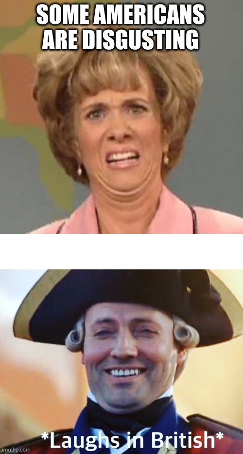 Disgusted Kristin Wiig | SOME AMERICANS ARE DISGUSTING | image tagged in disgusted kristin wiig | made w/ Imgflip meme maker