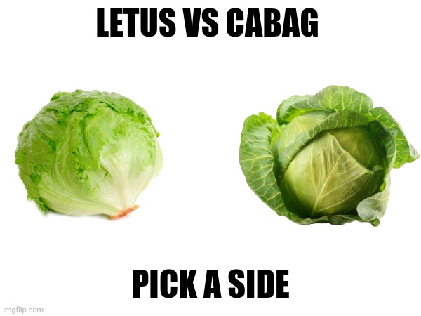 LETUS VS CABAG; PICK A SIDE | made w/ Imgflip meme maker