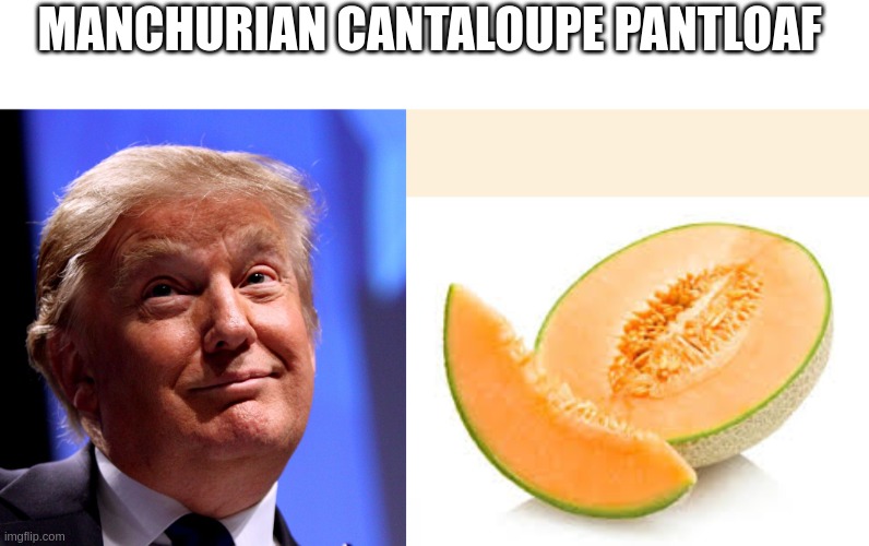loser | MANCHURIAN CANTALOUPE PANTLOAF | image tagged in donald trump no2,cantaloupe | made w/ Imgflip meme maker