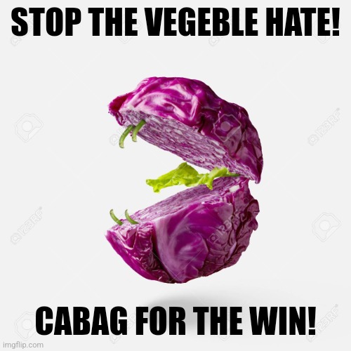 Cabbage | STOP THE VEGEBLE HATE! CABAG FOR THE WIN! | image tagged in cabbage | made w/ Imgflip meme maker