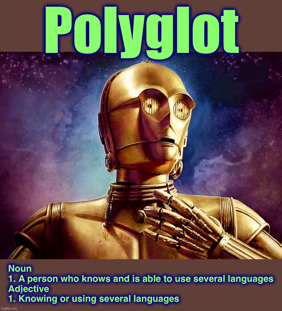 Word of the Day “P” | Polyglot; Noun
1. A person who knows and is able to use several languages
Adjective
1. Knowing or using several languages | image tagged in c3po,ai,artificial intelligence,memes,word of the day,star wars | made w/ Imgflip meme maker