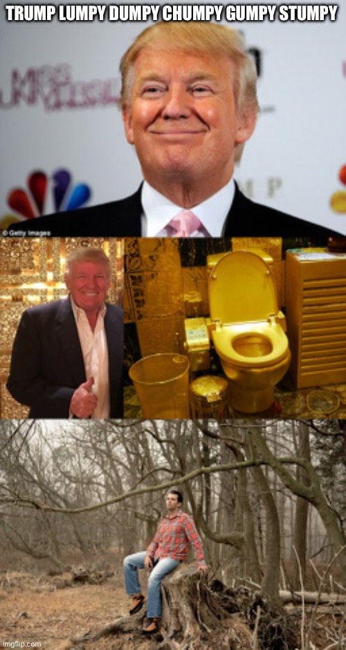 TRUMP LUMPY DUMPY CHUMPY GUMPY STUMPY | image tagged in donald trump approves,trump's gold toilet the perfect gift for the man who's full of,donald trump jr in the woods | made w/ Imgflip meme maker