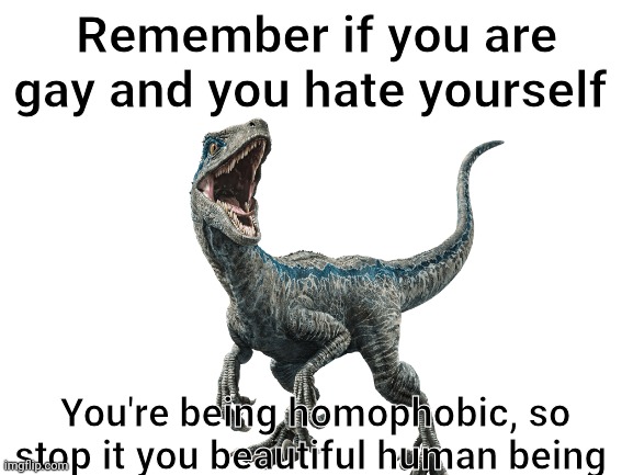 Not really homophobic but my point stands | Remember if you are gay and you hate yourself; You're being homophobic, so stop it you beautiful human being | image tagged in blank white template | made w/ Imgflip meme maker