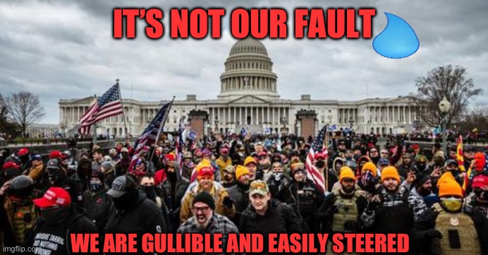 Jan 6th | IT’S NOT OUR FAULT; WE ARE GULLIBLE AND EASILY STEERED | image tagged in jan 6th | made w/ Imgflip meme maker