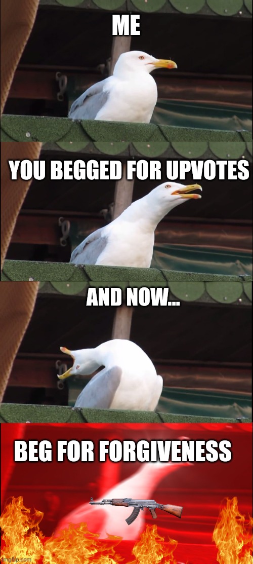 Inhaling Seagull Meme | ME YOU BEGGED FOR UPVOTES AND NOW... BEG FOR FORGIVENESS | image tagged in memes,inhaling seagull | made w/ Imgflip meme maker