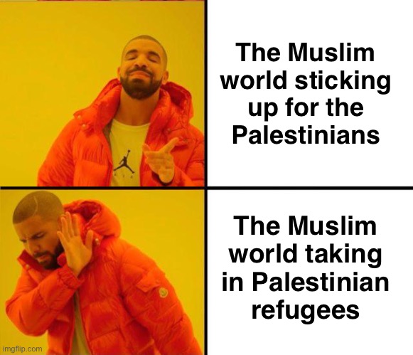 Actions vs Words | The Muslim 
world sticking 
up for the 
Palestinians; The Muslim 
world taking 
in Palestinian 
refugees | image tagged in drake yes no reverse | made w/ Imgflip meme maker
