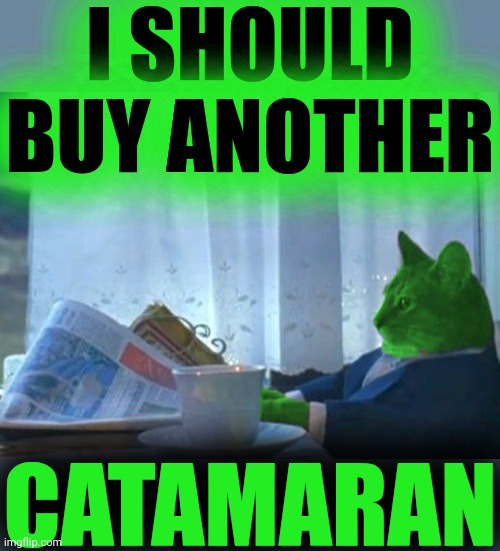 I Should Buy a Boat RayCat | I SHOULD BUY ANOTHER CATAMARAN | image tagged in i should buy a boat raycat | made w/ Imgflip meme maker