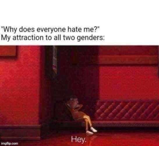 Hey | "WHY DOES EVERYONE HATE ME?"
MY ATTRACTION TO ALL TWO GENDERS: | made w/ Imgflip meme maker