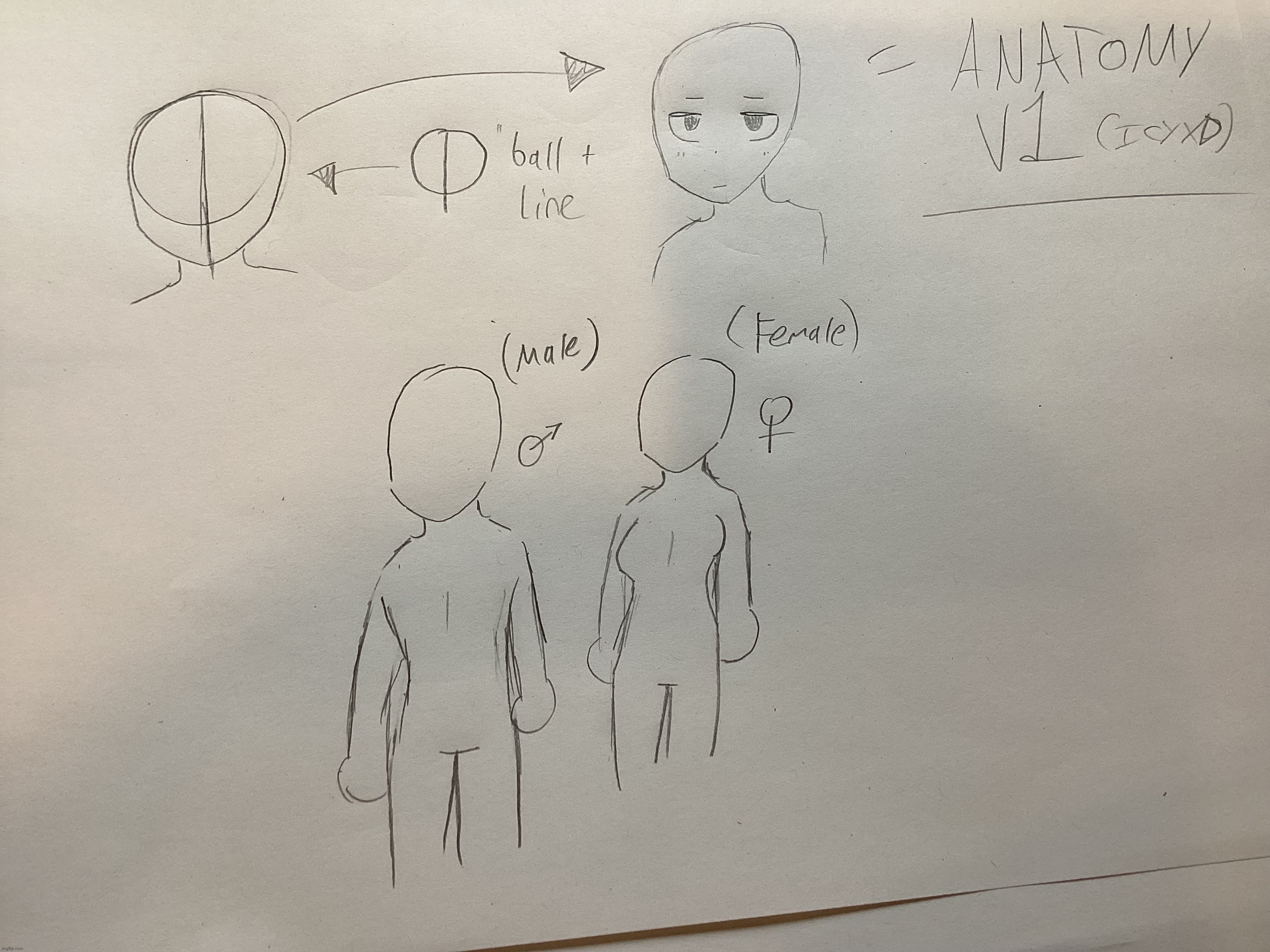 For anyone who is struggling with human anatomy | made w/ Imgflip meme maker