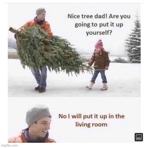 image tagged in dad,christmas tree,living room | made w/ Imgflip meme maker