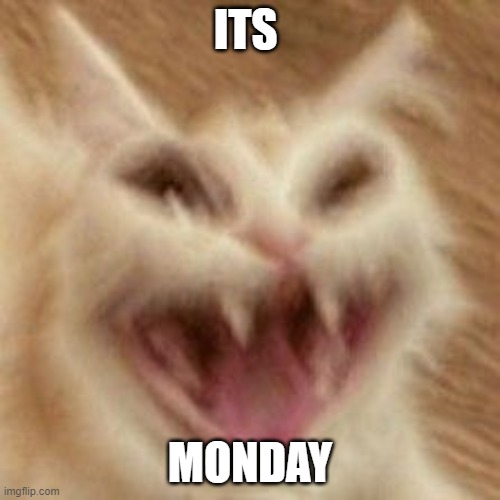 Monday | ITS; MONDAY | image tagged in mondays,i hate mondays | made w/ Imgflip meme maker
