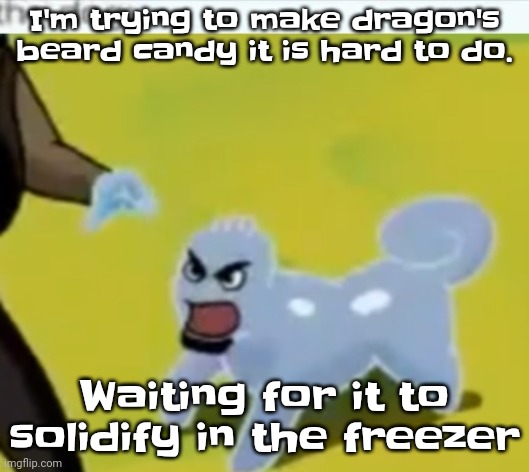 Damn | I'm trying to make dragon's beard candy it is hard to do. Waiting for it to solidify in the freezer | image tagged in the dog | made w/ Imgflip meme maker