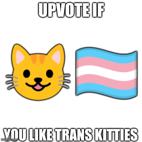 Pwease upvote | UPVOTE IF; 😺🏳️‍⚧️; YOU LIKE TRANS KITTIES | image tagged in cats,transgender | made w/ Imgflip meme maker