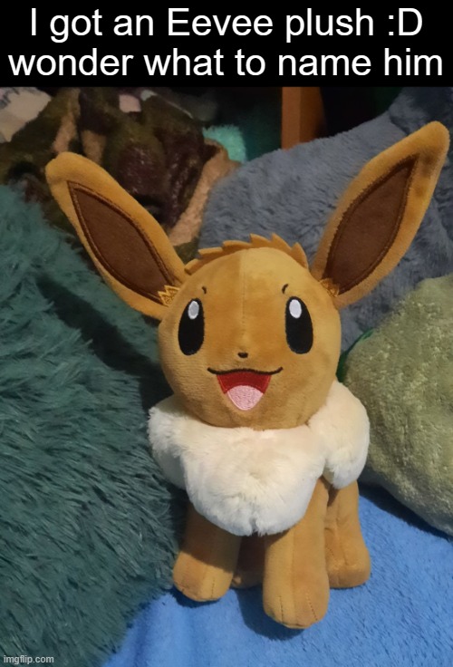 Eevee Plush | I got an Eevee plush :D
wonder what to name him | image tagged in eevee | made w/ Imgflip meme maker