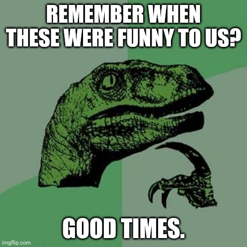 2015 was perfect bro. | REMEMBER WHEN THESE WERE FUNNY TO US? GOOD TIMES. | image tagged in memes,philosoraptor | made w/ Imgflip meme maker