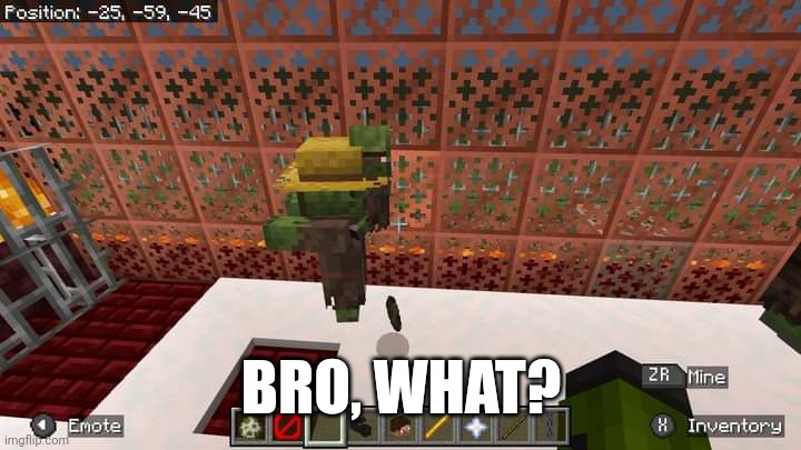 This has to be rare. | BRO, WHAT? | image tagged in minecraft,gaming,nintendo switch,screenshot | made w/ Imgflip meme maker