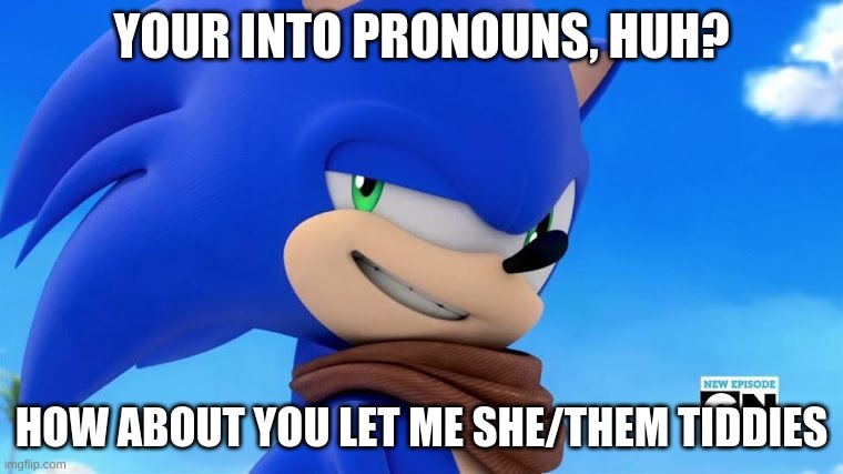 Sonic Meme | YOUR INTO PRONOUNS, HUH? HOW ABOUT YOU LET ME SHE/THEM TIDDIES | image tagged in sonic meme | made w/ Imgflip meme maker