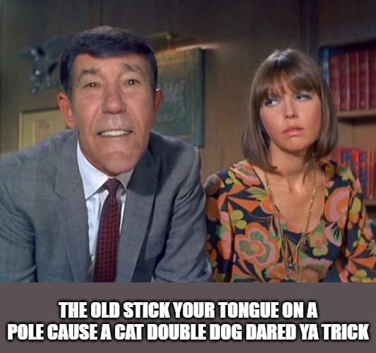 THE OLD STICK YOUR TONGUE ON A POLE CAUSE A CAT DOUBLE DOG DARED YA TRICK | made w/ Imgflip meme maker