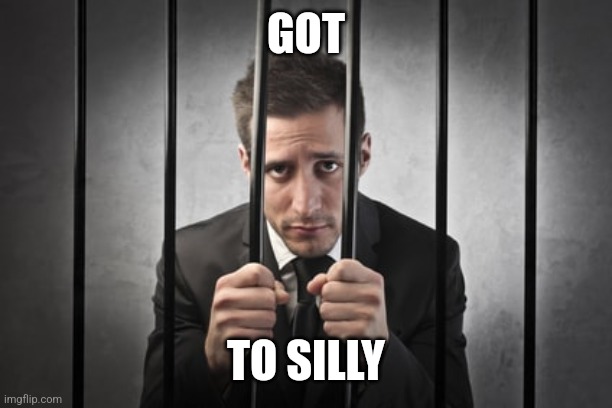 Got to silly | GOT; TO SILLY | image tagged in memes | made w/ Imgflip meme maker