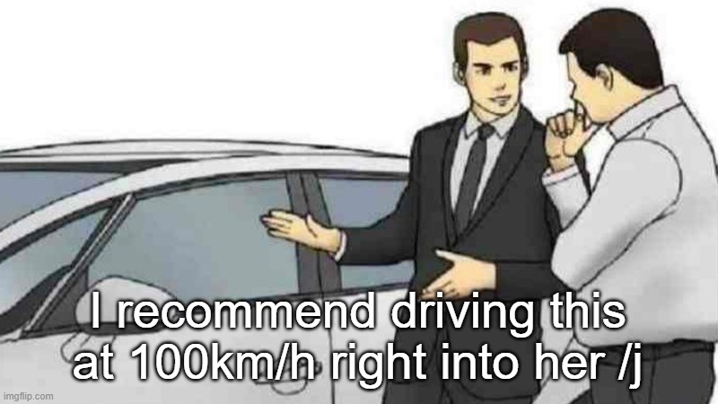 Car Salesman Slaps Roof Of Car Meme | I recommend driving this at 100km/h right into her /j | image tagged in memes,car salesman slaps roof of car | made w/ Imgflip meme maker