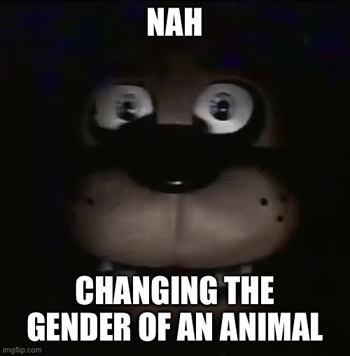 freddy | NAH CHANGING THE GENDER OF AN ANIMAL | image tagged in freddy | made w/ Imgflip meme maker