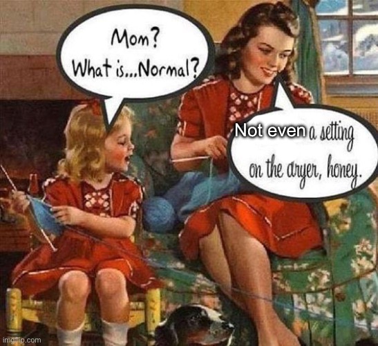 Normal? | Not even | image tagged in normal,new normal,normal conversation,why cant you just be normal | made w/ Imgflip meme maker