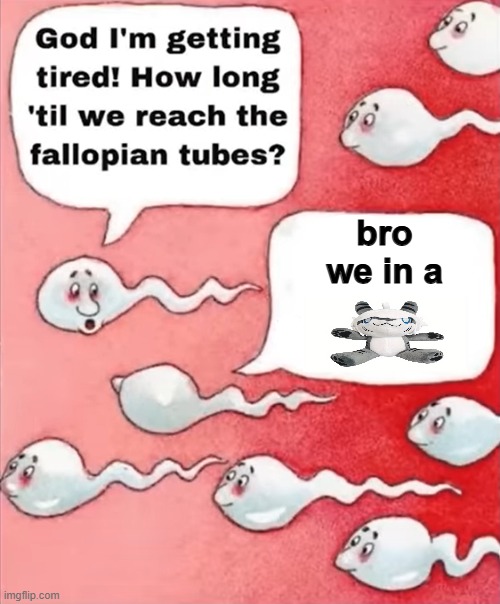bro we in a | bro we in a | image tagged in sperm we're in,bro we in a | made w/ Imgflip meme maker