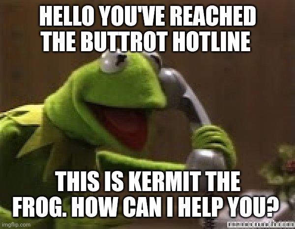 Buttrot hotline | HELLO YOU'VE REACHED THE BUTTROT HOTLINE; THIS IS KERMIT THE FROG. HOW CAN I HELP YOU? | image tagged in kermit the frog at phone,funny memes | made w/ Imgflip meme maker