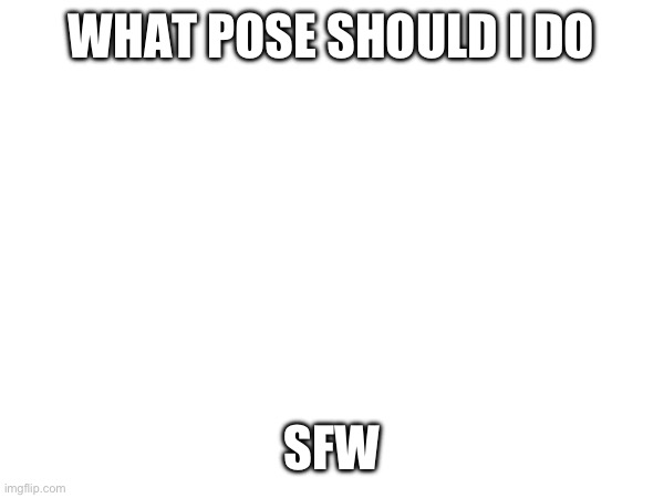 WHAT POSE SHOULD I DO; SFW | made w/ Imgflip meme maker