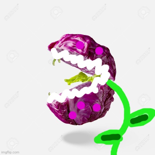 A cabbage temp I found, turned it into a chomper (superb art skills ik) | image tagged in cabbage | made w/ Imgflip meme maker