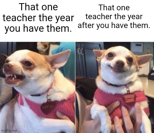 We all hated that one teacher. | That one teacher the year you have them. That one teacher the year after you have them. | image tagged in angry chihuahua happy chihuahua,funny,funny memes,memes,teacher | made w/ Imgflip meme maker