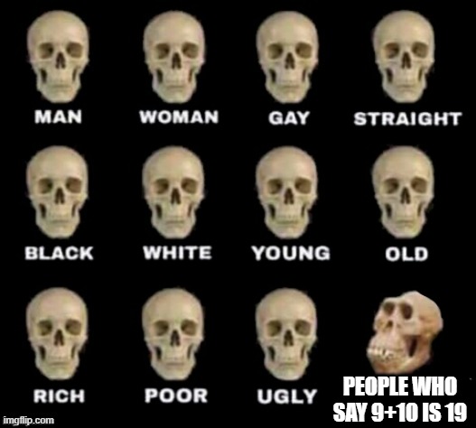 fr | PEOPLE WHO SAY 9+10 IS 19 | image tagged in idiot skull | made w/ Imgflip meme maker