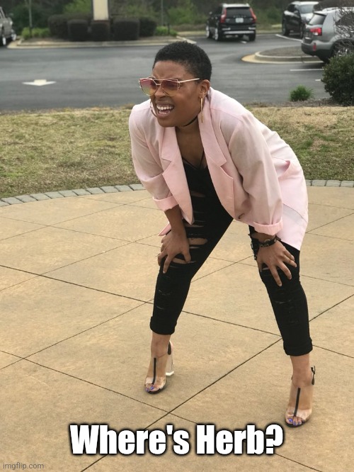 Black woman squinting | Where's Herb? | image tagged in black woman squinting | made w/ Imgflip meme maker