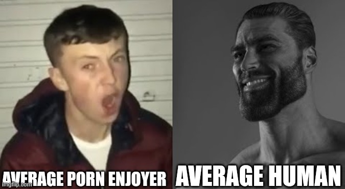 Average Enjoyer meme | AVERAGE PORN ENJOYER AVERAGE HUMAN | image tagged in average enjoyer meme | made w/ Imgflip meme maker