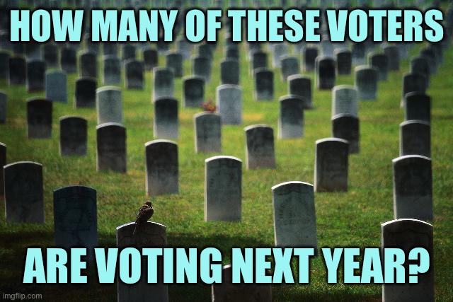 Democracy 2024 | HOW MANY OF THESE VOTERS; ARE VOTING NEXT YEAR? | image tagged in graveyard cemetary,memes | made w/ Imgflip meme maker
