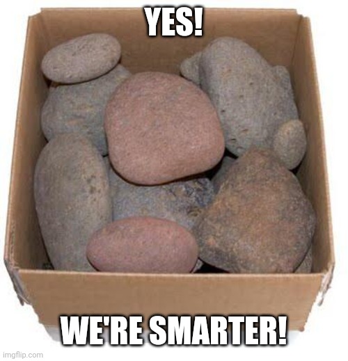 Box of Rocks | YES! WE'RE SMARTER! | image tagged in box of rocks | made w/ Imgflip meme maker