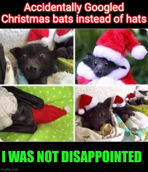 Jingle Bats | Accidentally Googled Christmas bats instead of hats; I WAS NOT DISAPPOINTED | image tagged in christmas,bats,santa,hats,jingle all the way,christmas memes | made w/ Imgflip meme maker