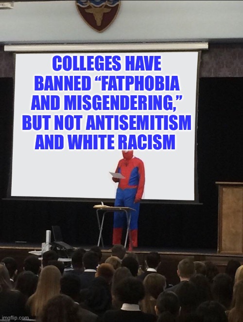 Spiderman Teaching | COLLEGES HAVE BANNED “FATPHOBIA AND MISGENDERING,” BUT NOT ANTISEMITISM AND WHITE RACISM | image tagged in spiderman teaching,college liberal,college,university,woke | made w/ Imgflip meme maker