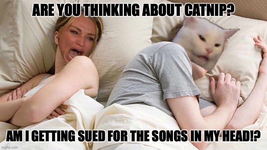 Songs In the Cat's Head | ARE YOU THINKING ABOUT CATNIP? AM I GETTING SUED FOR THE SONGS IN MY HEAD!? | image tagged in i bet he's thinking about other women | made w/ Imgflip meme maker